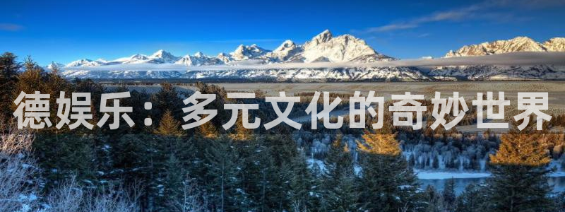 尊龙时凯包怎么样：德娱乐：多元文化的奇妙世界