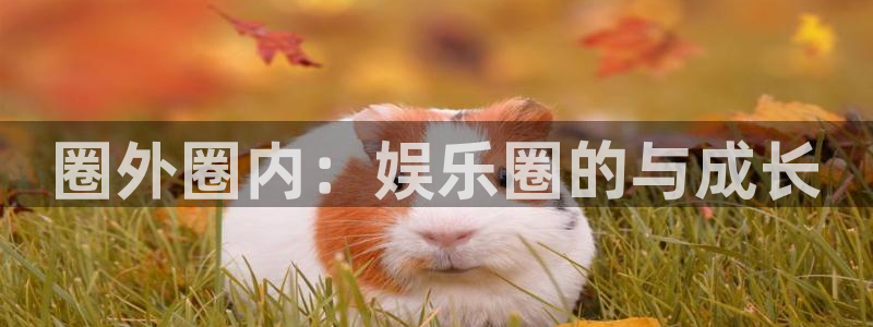 尊龙时凯体育注册登录入口：圈外圈内：娱乐圈的与成长