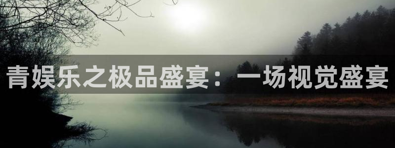 福建尊龙时凯机电股份公司：青娱乐之极品盛宴：一场视觉盛宴