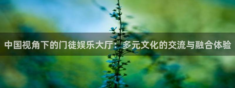 尊龙时凯招商：中国视角下的门徒娱乐大厅：多元文化的交流与融合体验