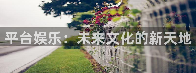 尊龙时凯体育网页版入口：平台娱乐：未来文化的新天地