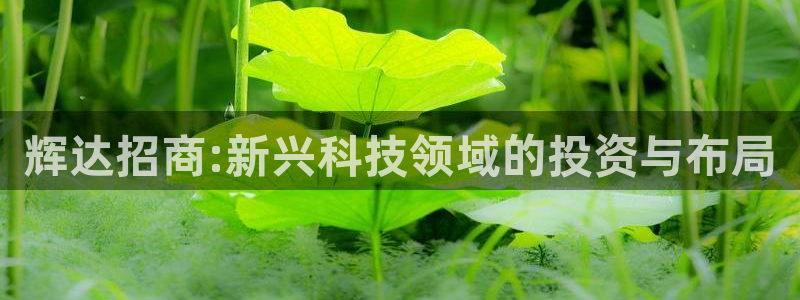 尊龙时凯体育平台登录入口：辉达招商:新兴科技领域的投资与布局