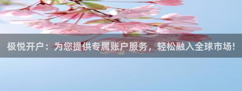 尊龙时凯2平台注册：极悦开户：为您提供专属账户服务，轻松融入全球市场!