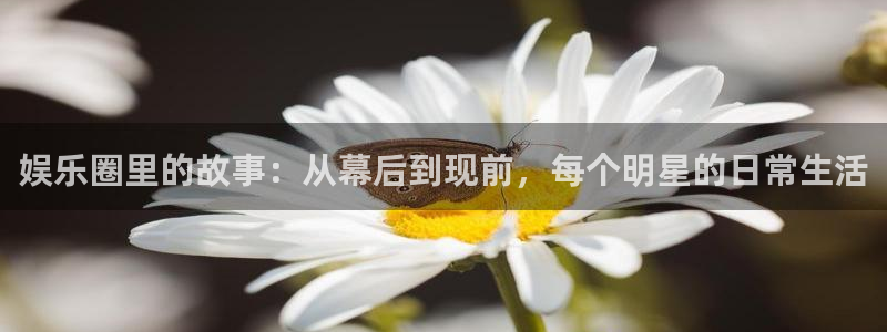 尊龙时凯登录界面入口：娱乐圈里的故事：从幕后到现前，每个明星的日常生活