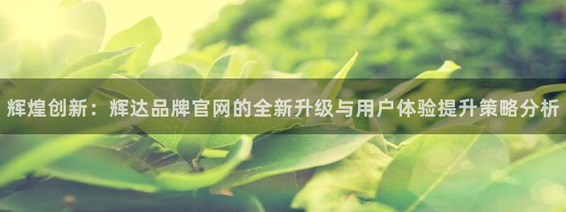 尊龙时凯体育平台总代理：辉煌创新：辉达品牌官网的全新升级与用户体验提升策略分析