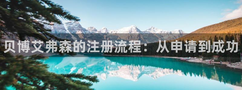 尊龙时凯平台主管：贝博艾弗森的注册流程：从申请到成功