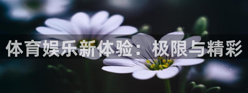 成都尊龙时凯电子有限公司：体育娱乐新体验：极限与精彩