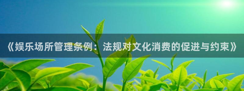 尊龙时凯k