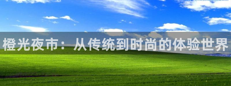 尊龙时凯官网：橙光夜市：从传统到时尚的体验世界