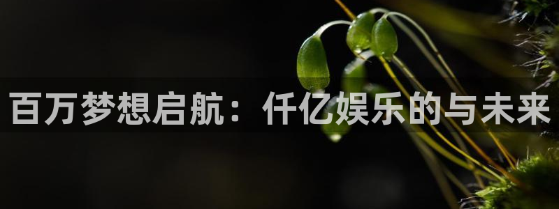 福建尊龙时凯机电股份公司：百万梦想启航：仟亿娱乐的与未来