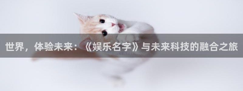 尊龙时凯凯捷平台：世界，体验未来：《娱乐名字》与未来科技的融合之旅