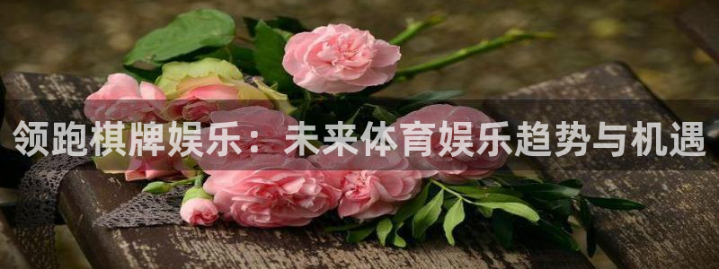 尊龙时凯体育3在线注册：领跑棋牌娱乐：未来体育娱乐趋势与机遇