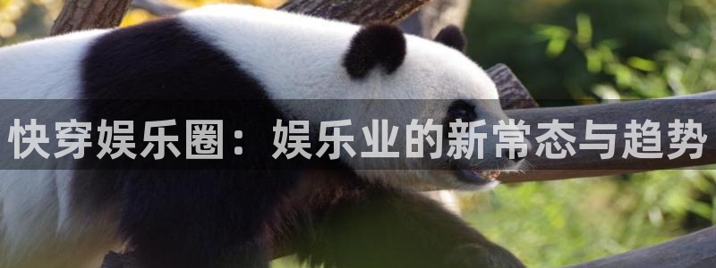 尊龙时凯f凯捷注册：快穿娱乐圈：娱乐业的新常态与趋势