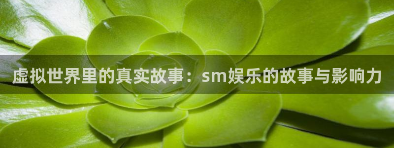 尊龙时凯官网注册：虚拟世界里的真实故事：sm娱乐的故事与影响力