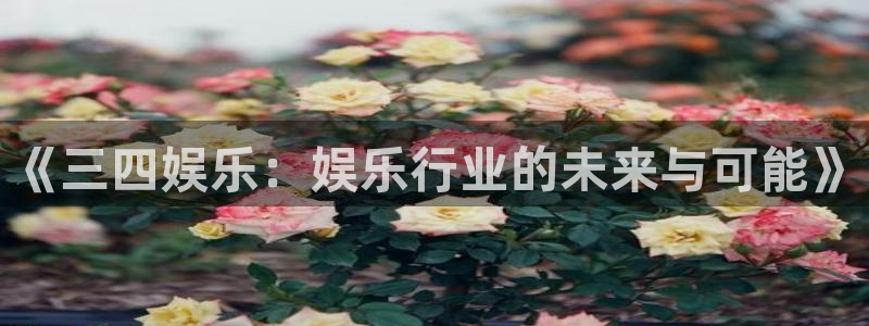 尊龙时凯官网入口：《三四娱乐：娱乐行业的未来与可能》