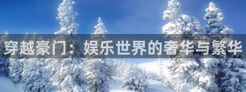 尊龙时凯3代理：穿越豪门：娱乐世界的奢华与繁华
