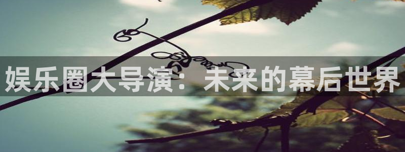尊龙时凯游戏有哪些好玩的：娱乐圈大导演：未来的幕后世界