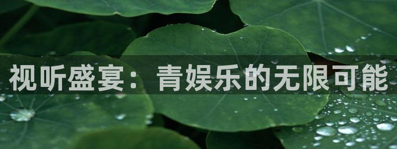 尊龙时凯f凯捷注册：视听盛宴：青娱乐的无限可能