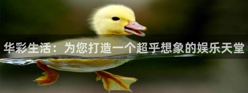尊龙时凯体育合法嘛：华彩生活：为您打造一个超乎想象的娱乐天堂