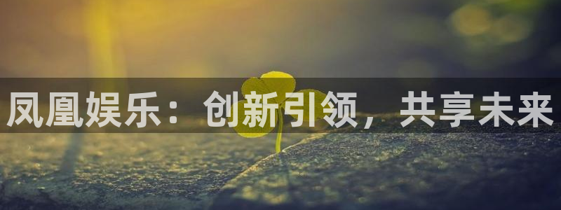 尊龙时凯体育2：凤凰娱乐：创新引领，共享未来