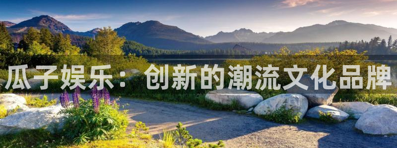 尊龙时凯平台官网：瓜子娱乐：创新的潮流文化品牌