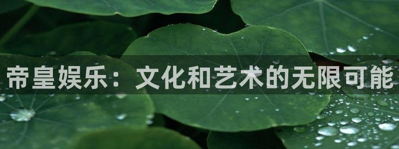 尊龙时凯体育娱乐注册链接：帝皇娱乐：文化和艺术的无限可能