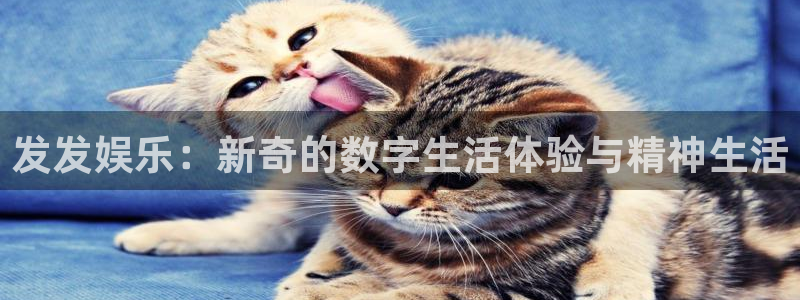 尊龙时凯体育凯捷平台招商