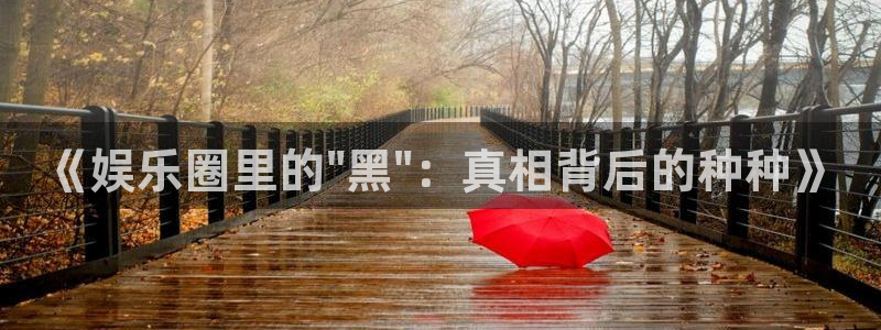 尊龙时凯体育老板是谁：《娱乐圈里的\