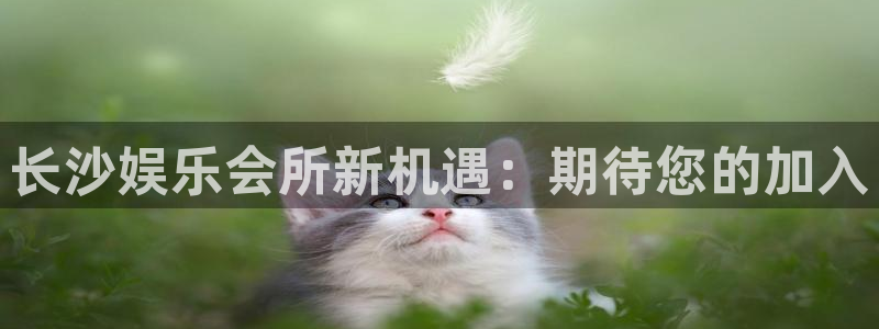 尊龙时凯f凯捷注册：长沙娱乐会所新机遇：期待您的加入