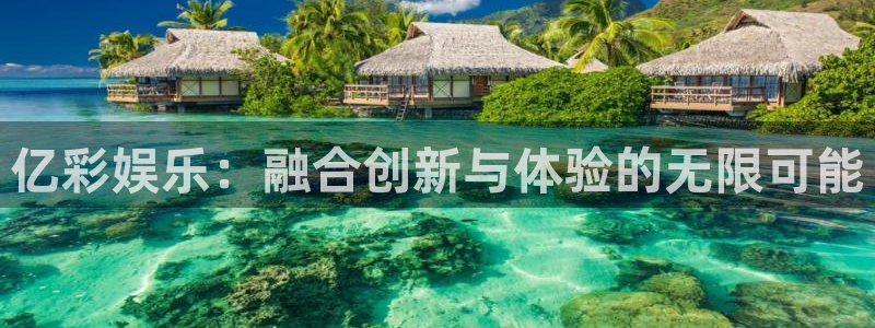 尊龙时凯集团：亿彩娱乐：融合创新与体验的无限可能