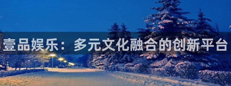 尊龙时凯体育注册平台：壹品娱乐：多元文化融合的创新平台