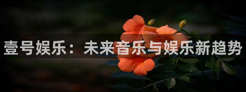 尊龙时凯2官网：壹号娱乐：未来音乐与娱乐新趋势