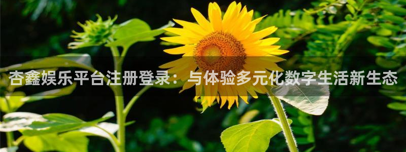 尊龙时凯体育凯捷平台招商：杏鑫娱乐平台注册登录：与体验多元化数字生活新生态
