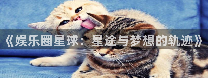 尊龙时凯电子有限公司：《娱乐圈星球：星途与梦想的轨迹》